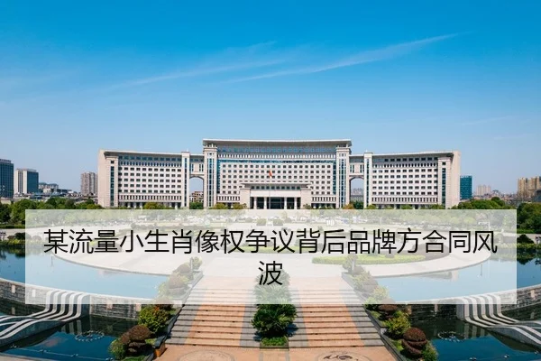 某流量小生肖像权争议背后品牌方合同风波